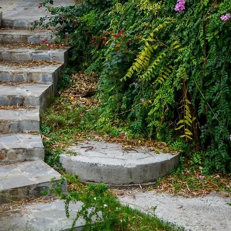 Bright 2br By Pedieos Park, Near Old Town Διαμέρισμα